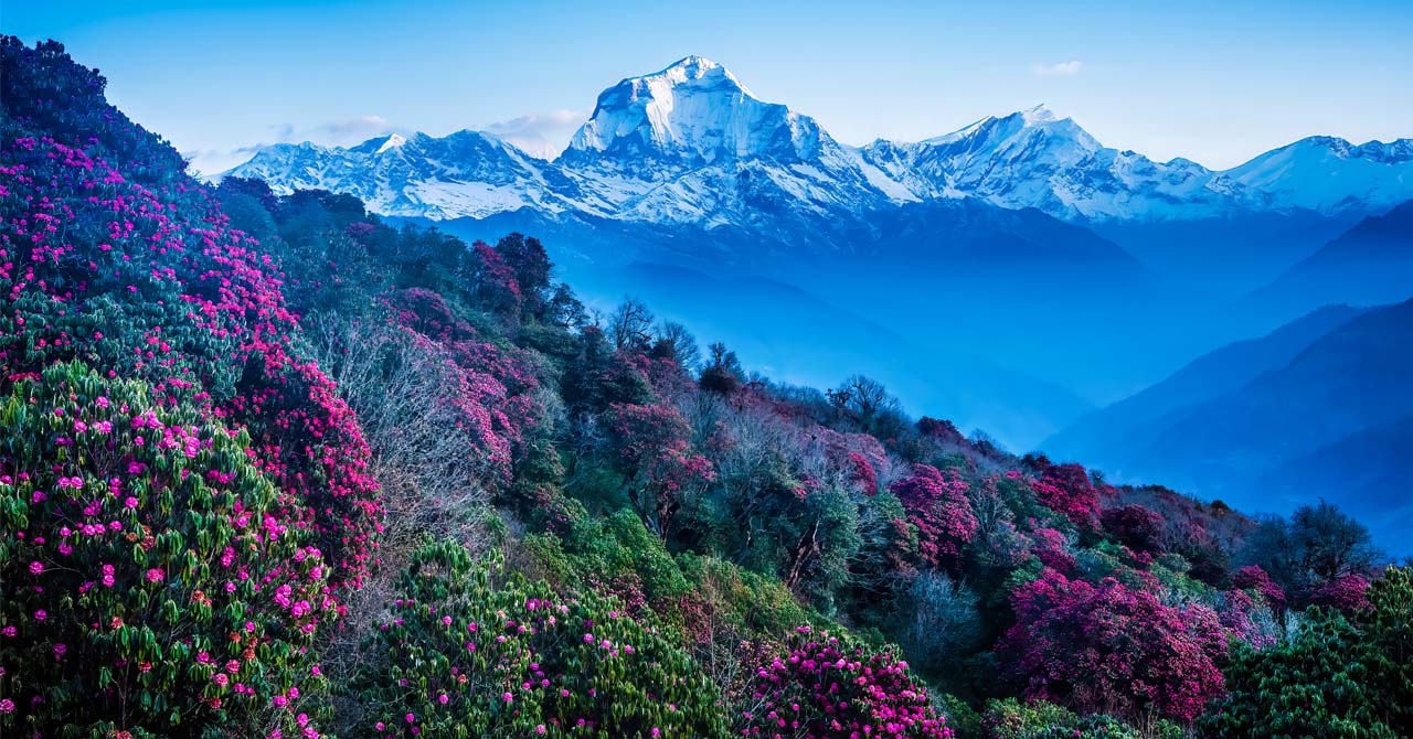 				Ghorepani Poon Hill Trekking					