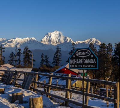 Mohare Danda Ghorepani Trek | Mohare Danda Trek