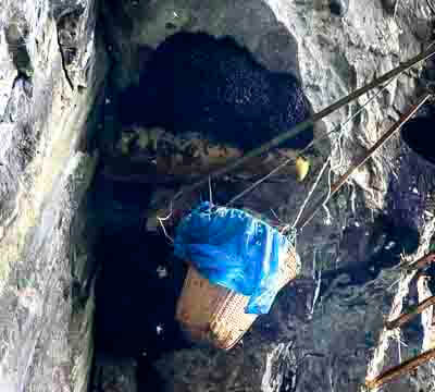 Honey Hunting Tour in Nepal | Honey Hunting Tour