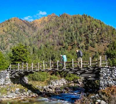 Gorilla Trekking | Gorilla Trek in Nepal