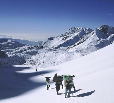 Ganjala Pass Trek | Langtang Ganjala Pass Trekking